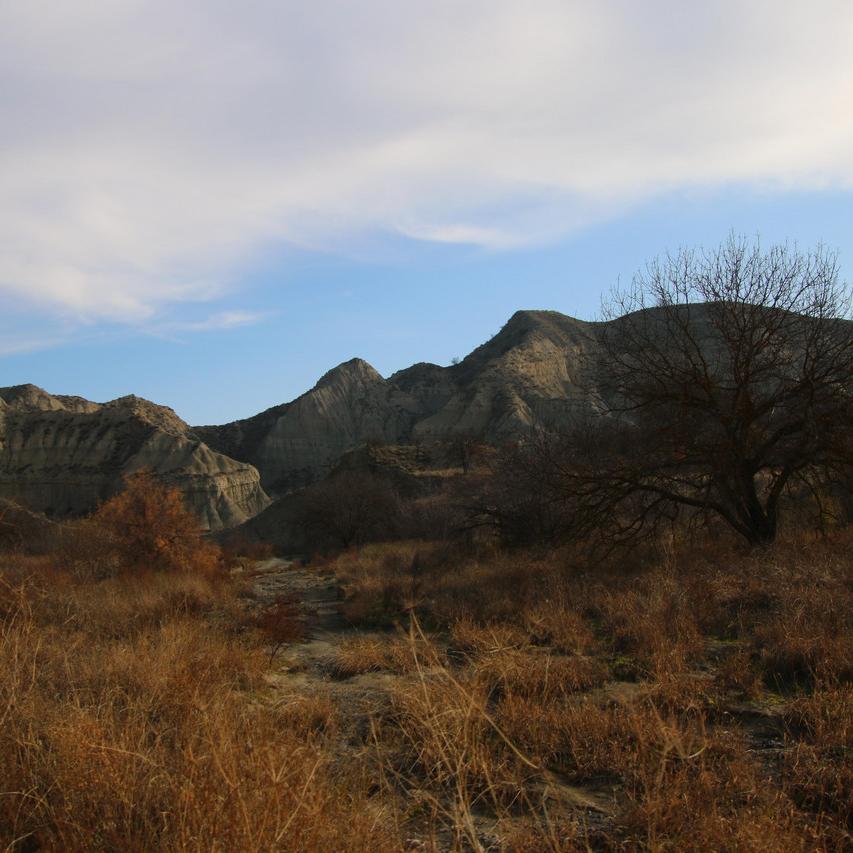 IMG_20211128_094157.jpg