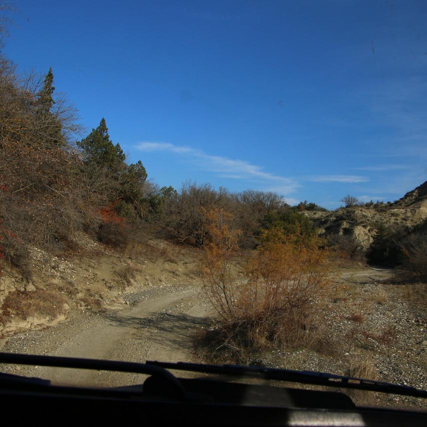 IMG_20211128_103548.jpg