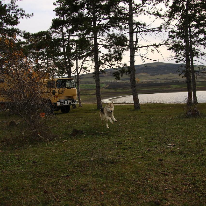IMG_20211128_151706.jpg