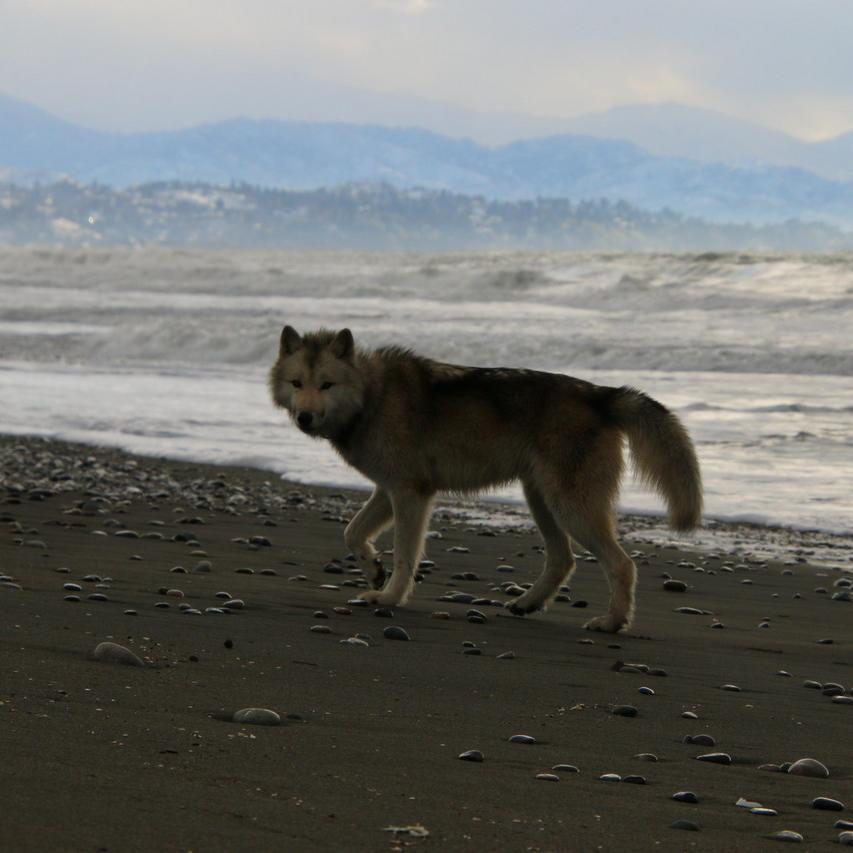 IMG_20220117_143504.jpg